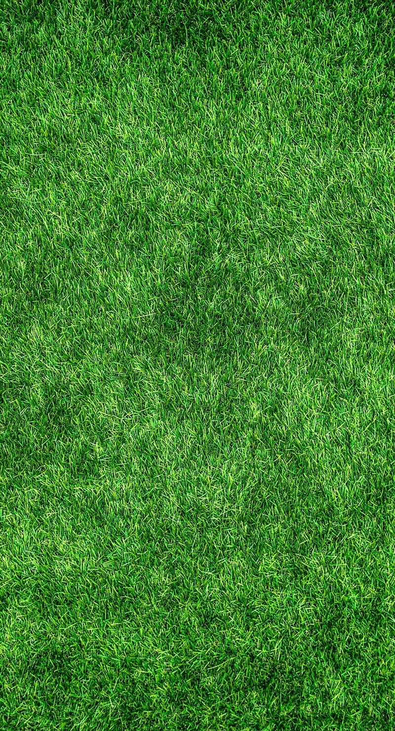 Eco-friendly fertilizers