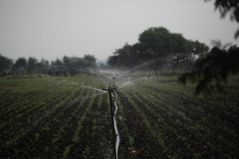 Water conservation